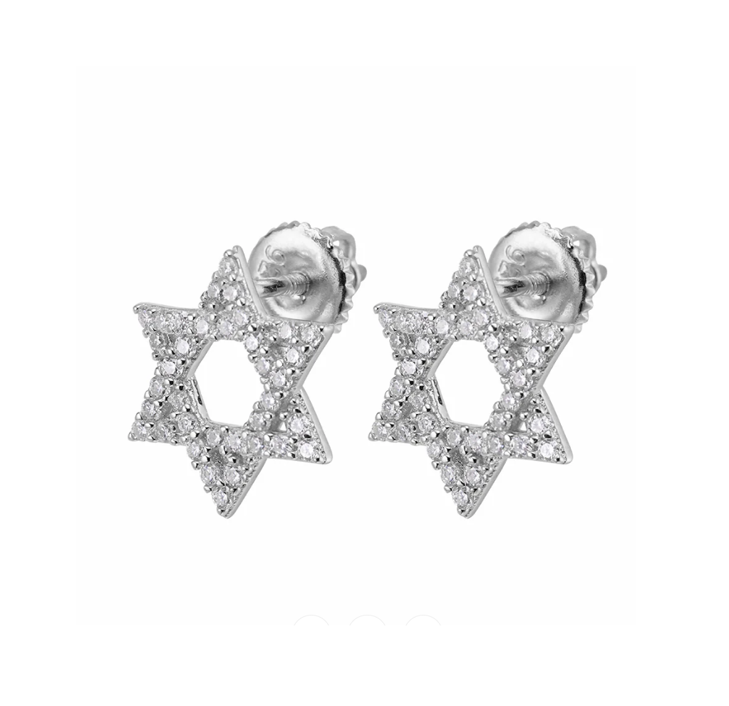 Star of David Earrings in 925 sterling silver with lab-grown moissanite, silver tone
